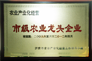 优德88(中国区)最新官方网站